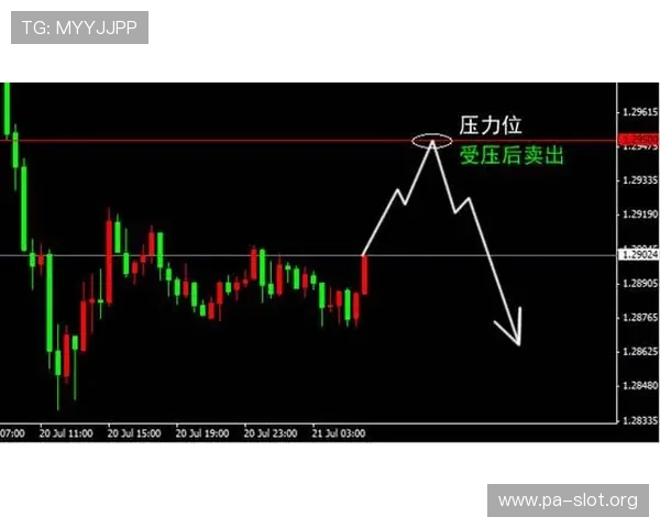 雄鹿压力抵抗效率最新排名出炉 盘口倾向数据揭示关键走势 雄鹿压力抵抗效率最新排名出炉 盘口倾向数据揭示关键走势
