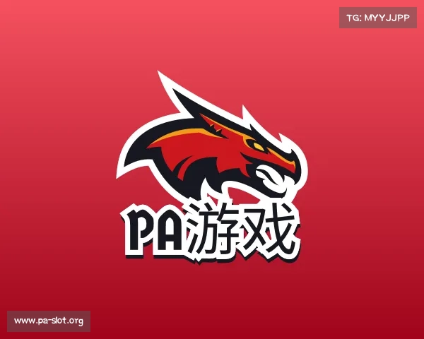 介绍PA游戏